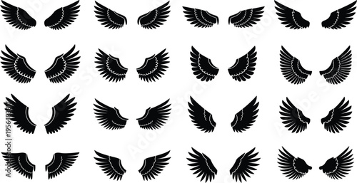 Collection of black feathered wings illustrations