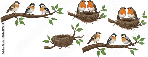 Cute Birds on Tree Branches and Nest Collection with Small Songbirds, Couples, and Empty Nest in Flat Cartoon Style Vector Illustration for Nature Design