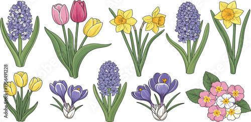 Hand Drawn Spring Flowers Set with Tulips, Daffodils, Crocuses, Hyacinths, and Primrose in Soft Colors for Botanical Design, Invitations, and Decorative Illustrations