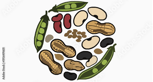 Circular Hand Drawn Legumes Illustration with Beans Peas and Nuts Decorative Food Vector Set