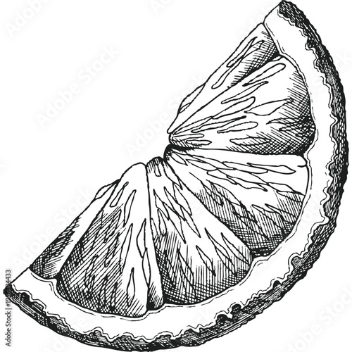 sketch of sliced orange