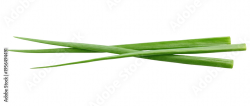 Fotografía Several sprigs of fresh green onions lying horizontally