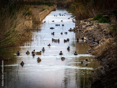Boats in the Albufera of Valencia (Spain)	