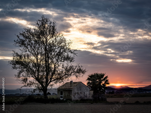 Albufera Natural Park in Valencia (Spain)
