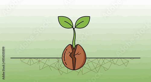 Seedling emergence, nature's resilience and the promise of a fresh start is captured in a