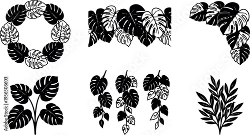 Vector leaf silhouettes collection of monstera and tropical greenery for design projects