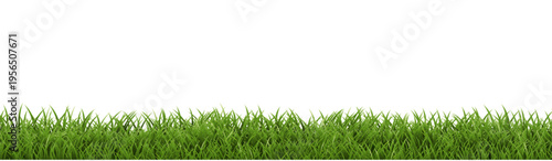 Grass Frame With White Background