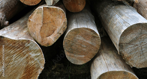 Abstract wood background, stack of logs close up. Cut down trees, woodworking industry, solid fuel, energy resources concept. Horizontal image