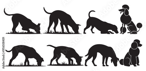 Sniffing and digging dog silhouettes walking behavior poses. vector illustration eps 10