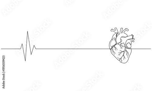 Minimalist continuous one line drawing of a human anatomical heart. Educational materials, and medical awareness campaigns