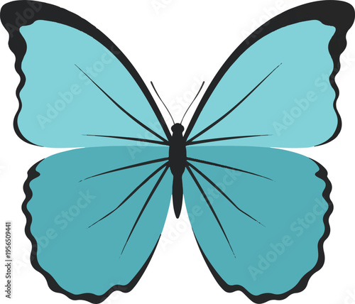 butterfly on white background