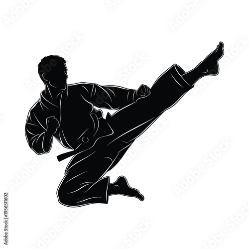 Silhouette of a martial artist performing a high kick, dynamic pose, black background, action shot