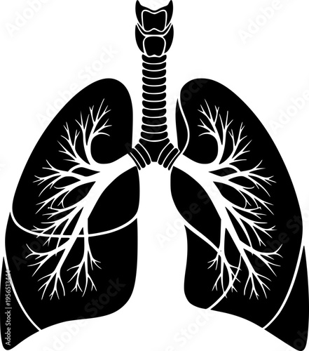 Black silhouette of human lungs with trachea and bronchi on white background anatomy