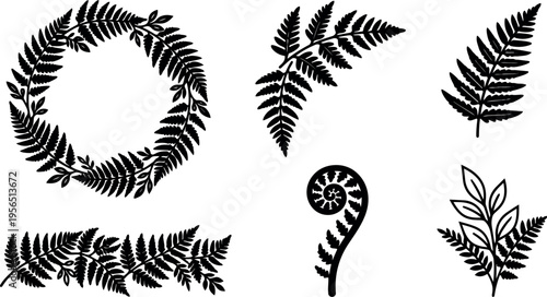 Fern leaf silhouettes and spiral fern accents in black vector art collection