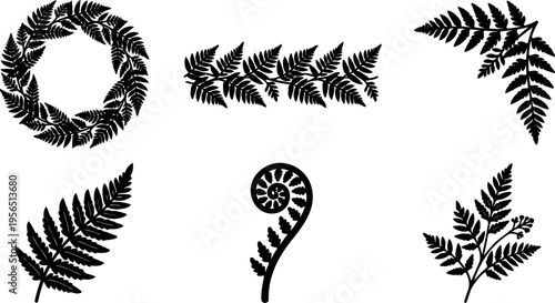 Fern silhouettes circular wreaths and curbed fronds in vector design