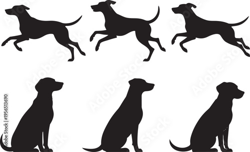 Silhouettes of dogs in running and sitting poses representing various canine activities and behaviors