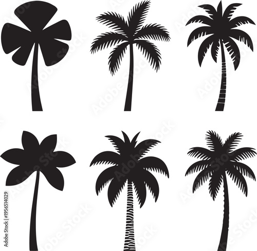 Tropical palm trees silhouettes collection different types isolated on white background nature