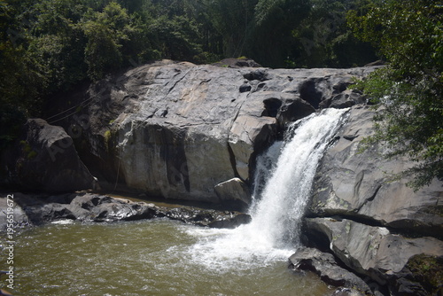 waterfall in the forest