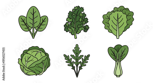 Minimalist Set of Fresh Green Leafy Vegetables Displayed on White. Rendered in a Simplified, Flat Design Style, Perfect for Health, Diet, and Recipe Context.