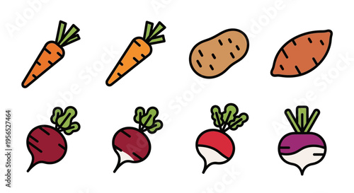 Minimalist and flat vector set of various freshly harvested root vegetables. Featuring carrots, potatoes, beets, radishes, and turnips. Perfect healthy food concept for design projects.