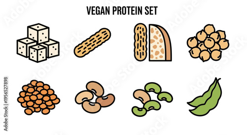A vibrant and detailed illustration set showcasing a variety of vegan protein sources with bold outlines, perfect for depicting healthy eating, promoting plant-based diets, and discussing nu