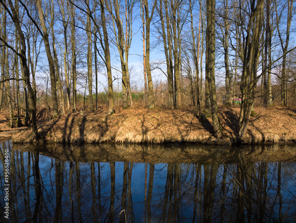 Obraz premium reflection