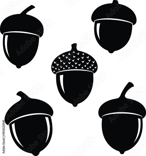 Black and white drawing of five acorns