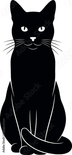 Black cat sitting white background animal