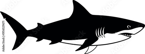 Black shark silhouette with sharp teeth