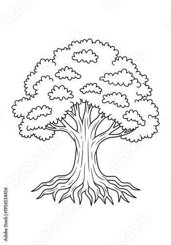 A tree with a large canopy and exposed roots