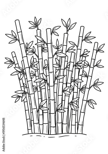 A bunch of bamboo stalks with leaves