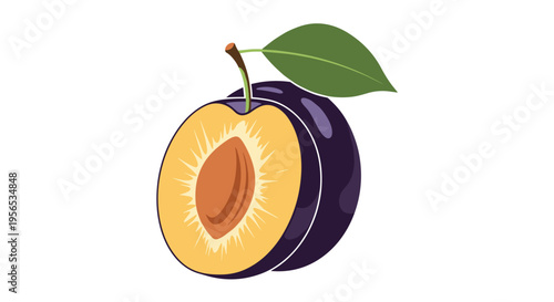 Detailed illustration of a sliced purple plum showing the yellow flesh and stone pit inside with a green leaf.