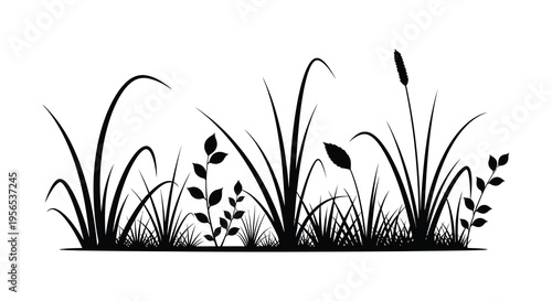 Black grasses and foliage create a striking natural silhouette