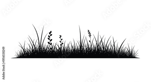 Black silhouette of grasses and wildflowers against a white background silhouette