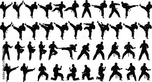 Black silhouette collection of martial arts athletes performing karate kicks, punches, and defensive stances isolated on white background for design.