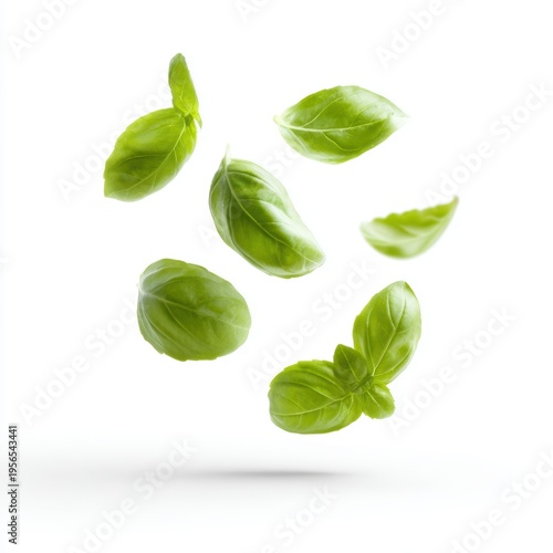 Fresh basil leaves floating in air isolated on white background, dynamic food photography