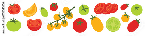 Tomato set with different varieties and colors. Fresh vegetables collection with slices and whole fruits. Cute food elements. Flat vector illustration isolated on white background.