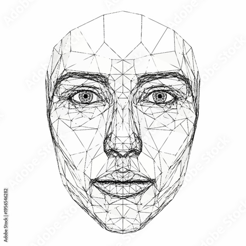 Wireframe human face representing biometric data and facial recognition.