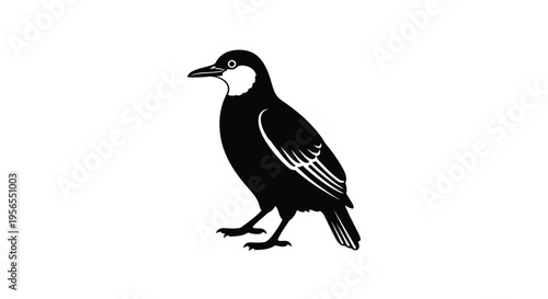 Black silhouette of a magpie bird standing on ground isolated on white background
