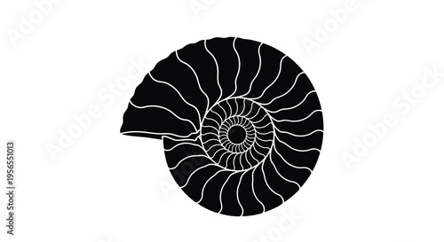 Minimalist black nautilus shell silhouette icon symbol isolated on white background
