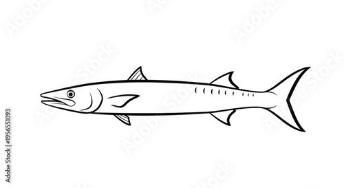 Black and white illustration of a fish isolated on white background