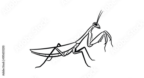 Black line drawing of a praying mantis in a dynamic pose isolated on white background
