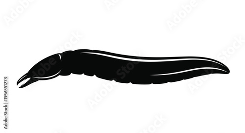 Black silhouette of a centipede insect isolated on white background