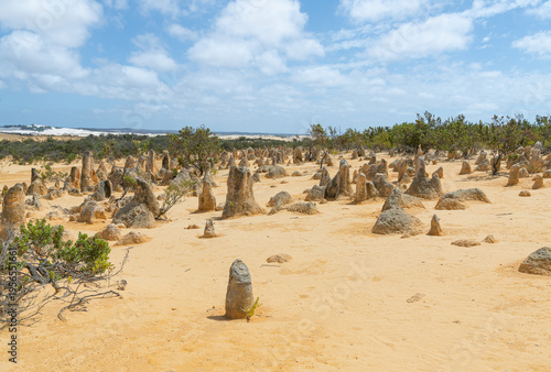Wallpaper Mural Pinnacles in Nambung National Park, Western Australia, Australia Torontodigital.ca