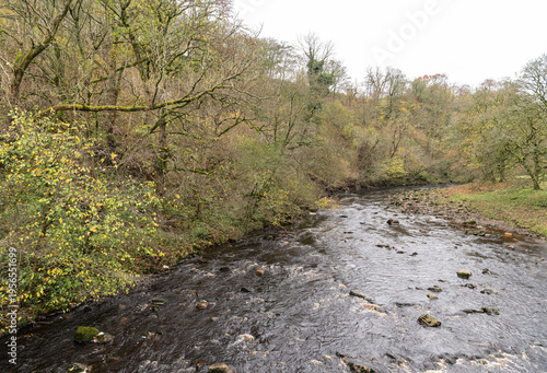 Wallpaper Mural River Eden in Cumbria, England, UK Torontodigital.ca