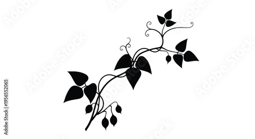 Black silhouette of a vine branch with leaves on a isolated on white background