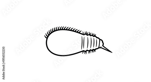 Black line drawing of a simple insect with hairy body and tail isolated on white background