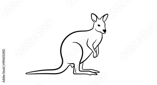 Line drawing of a kangaroo standing isolated on white background
