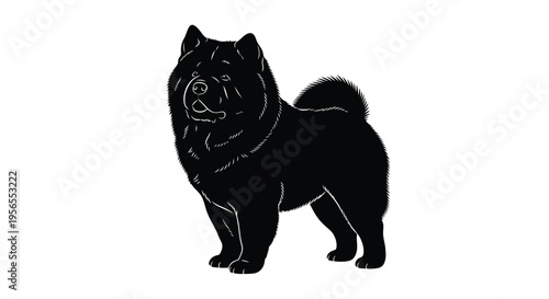Black Chow Chow dog silhouette standing isolated on white background