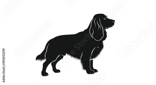 Black silhouette of a standing English Cocker Spaniel dog isolated on white background